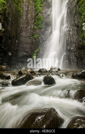 Paysage avec cascade soyeuse longue exposition photographie création d'une nature idyllique scène dans la jungle javanaise de l'Indonésie. La beauté de la nature Banque D'Images