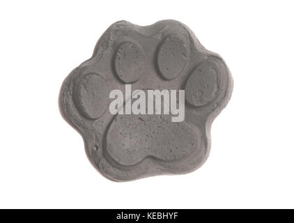 Animal empreinte isolé sur fond blanc Banque D'Images