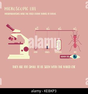 La vie micro-organisme vecteur illustration infographie Illustration de Vecteur