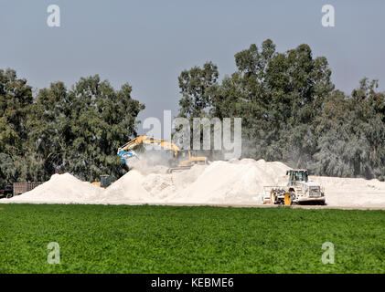 Tracteur caterpillar 320C, de balancer la flèche, le recyclage des panneaux sheetrock. Banque D'Images