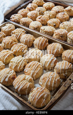 Deux plaques de cuisson des scones fraîchement arrosé avec cerise Banque D'Images