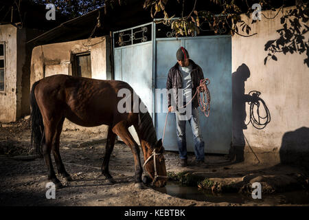 Beshkent, Kirghizistan. 11 octobre 2016. Un homme amène son cheval boire dans un canal d'irrigation du village de Beshkent, au Kirghizistan, près d'un endroit où l'eau est recueillie pour la consommation humaine. Les animaux peuvent transporter des matières fécales et des bactéries qui causent l'hépatite et d'autres maladies d'origine hydrique. Les habitants espèrent et planifient un projet d'infrastructure pour apporter de l'eau potable à leurs maisons. Dans les villages du Kirghizistan (Asie centrale), les systèmes et infrastructures obsolètes d'approvisionnement en eau sont à l'origine de problèmes de santé tels que les épidémies d'hépatite et de maladies gastro-intestinales, en particulier chez les enfants Banque D'Images