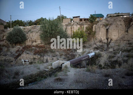 Beshkent, Kirghizistan. 11 octobre 2016. Village de Lyaily près de Beshkent, au Kirghizistan, où presque les 300 familles utilisent l'eau de l'aryk, un canal d'irrigation. L'eau qu'ils boivent est vulnérable à la contamination par les bactéries qui causent l'hépatite et d'autres maladies d'origine hydrique. La population locale espère et planifie un projet d'infrastructure pour apporter de l'eau potable à leurs maisons. Dans les villages du Kirghizistan (Asie centrale), les systèmes et infrastructures obsolètes d'approvisionnement en eau sont à l'origine de problèmes de santé tels que les épidémies d'hépatite et de maladies gastro-intestinales, en particulier chez les enfants Banque D'Images