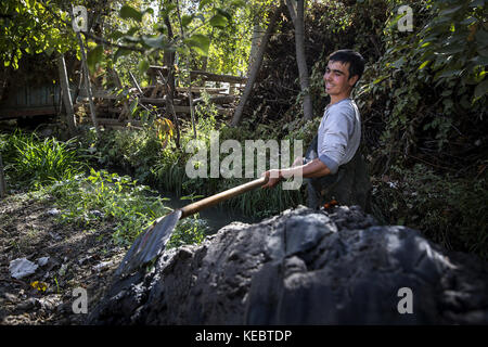 Beshkent, Kirghizistan. 11 octobre 2016. Buzruk Akmetov nettoie les débris d'un canal d'irrigation appelé un aryk dans le village de Beshkent, au Kirghizistan. L'eau qu'ils boivent est vulnérable à la contamination par les bactéries qui causent l'hépatite et d'autres maladies d'origine hydrique. Les habitants espèrent et planifient un projet d'infrastructure pour apporter de l'eau potable à leurs maisons. Dans les villages du Kirghizistan (Asie centrale), les systèmes et infrastructures obsolètes d'approvisionnement en eau sont à l'origine de problèmes de santé tels que les épidémies d'hépatite et de maladies gastro-intestinales, en particulier chez les enfants. (Crédit image Banque D'Images