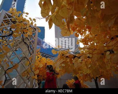 20 octobre 2017 - chongqin, chongqin, CHINE - Chongqing, Chine du 20e octobre 2017 :(usage éditorial uniquement. Chine out) ..une 'fausse' arbre jaune attire beaucoup l'attention des gens en face d'un centre commercial dans le sud-ouest de la Chine, Chongqing. (Crédit image : © sipa l'Asie via zuma sur le fil) Banque D'Images