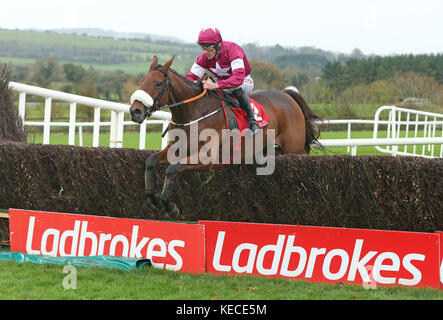 Death Duty monté par Davy Russell saute le dernier à gagner la Buck House Novice Steeplechase à l'hippodrome de Punchmartown, Naas. Banque D'Images