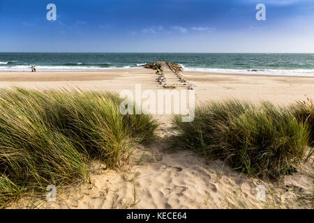 DUNES DE SABLE DE LA PLAGE DE BOURNEMOUTH Banque D'Images
