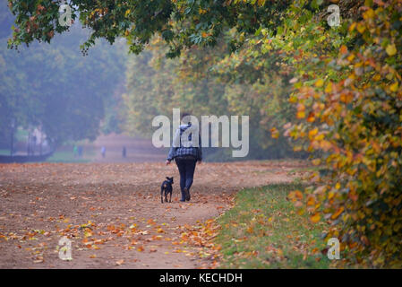 Une femelle emmenant son chien pour une promenade dans Hyde Park à l'automne le long d'une piste de calèche anciennement King's Private Road et Rotten Row Banque D'Images