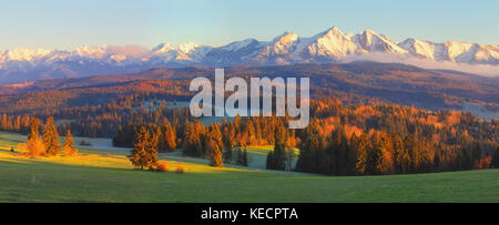 Paysage d'automne ensoleillée. zakopane vue panoramique. la lumière du soleil du matin sur les Tatras vallée. vert prairie polonais d'automne sur fond des montagnes enneigées. Banque D'Images