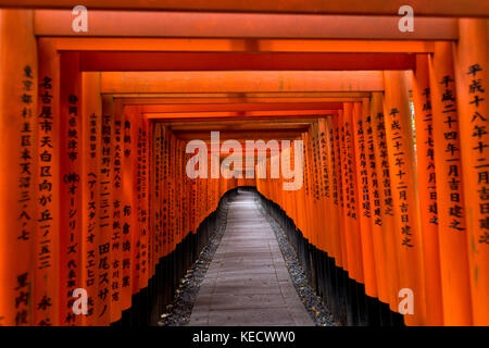 Kyoto, Japon - 9 mai 2017 : torii gates à Fushimi Inari taisha. Fushimi Inari taisha est un sanctuaire shinto situé dans le sud de Kyoto, au Japon. Banque D'Images