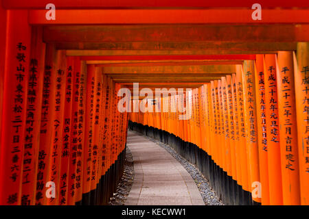 Kyoto, Japon - 9 mai 2017 : torii gates à Fushimi Inari taisha. Fushimi Inari taisha est un sanctuaire shinto situé dans le sud de Kyoto, au Japon. Banque D'Images