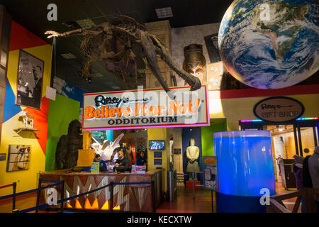 Ripley's Believe it or not curiosités NYC Banque D'Images