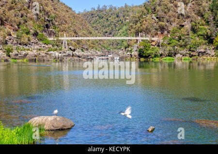 Le pont suspendu alexandra à cataract gorge's premier bassin - launceston, Tasmanie, Australie Banque D'Images