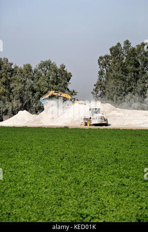 Tracteur caterpillar 320C, de balancer la flèche, le recyclage des panneaux sheetrock. Banque D'Images