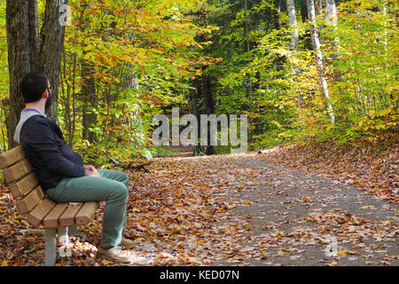 Un homme bénéficie d'une promenade dans le nord du Michigan en octobre entouré par de belles couleurs d'automne et à l'évolution des feuilles Banque D'Images