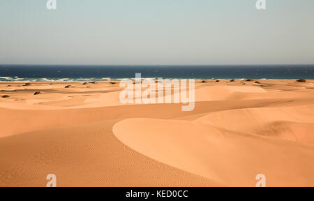 Paysage de dunes, Maspalomas, Gran Canaria, îles canaries, espagne. Banque D'Images