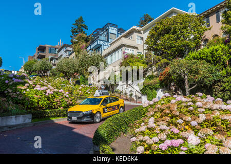 Lombard Street, San Francisco, California, USA Banque D'Images