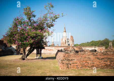 (Selective Focus) Wat Chaiwatthanaram complexe dans la ville d'Ayutthaya, Thaïlande. Banque D'Images