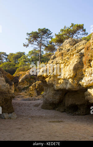 La falaise de sable sédimentaire typique exposée fait face à la plage Praia da Oura d'Albufera au Portugal avec des pins au sommet Banque D'Images