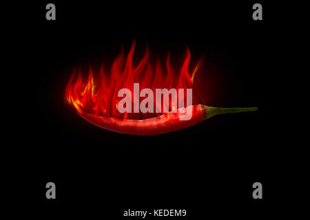 Red hot chili pepper sur fond noir avec flamme Banque D'Images