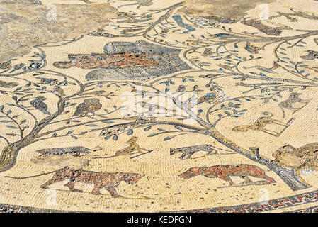 Mosaïque dans Orpfeus house en ruines, ancienne ville romaine de Volubilis. Le Maroc. L'Afrique du Nord Banque D'Images