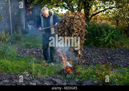 Man de faire un feu dans le jardin Banque D'Images