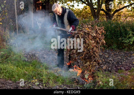 Man de faire un feu dans le jardin Banque D'Images