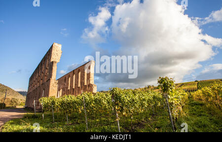 La ruine du monastère Slagelse et vignobles de la Moselle Allemagne à l'automne Banque D'Images