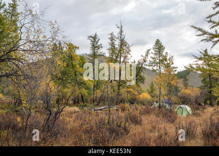 Camping dans le nord de la Mongolie taïga de l'un Banque D'Images