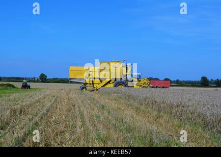 Cabine ouverte ancienne moissonneuse-batteuse new holland jaune de la récolte de cultures d'une exploitation agricole en 2017 Banque D'Images