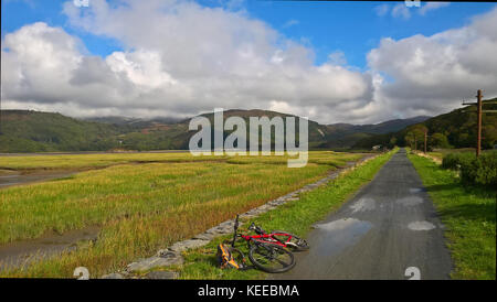 Le Mawddach Trail de Dolgellau à Barmouth Banque D'Images