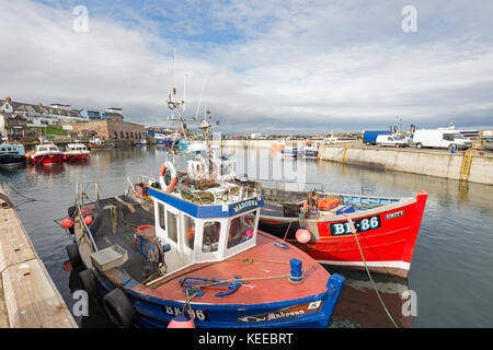 Bateaux de pêche dans le port de Seahouses sur la côte de Northumbrie, Northumberland, England, UK Banque D'Images