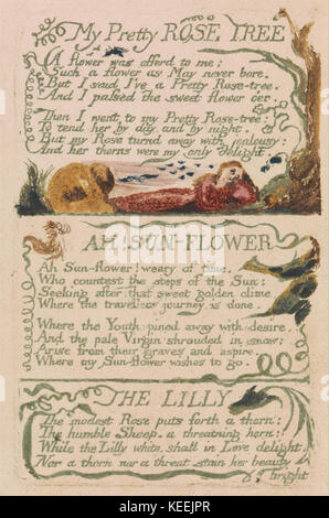 William Blake Songs of Innocence et d'expérience, la plaque 47, ma jolie rose Tree (43) Bentley Banque D'Images