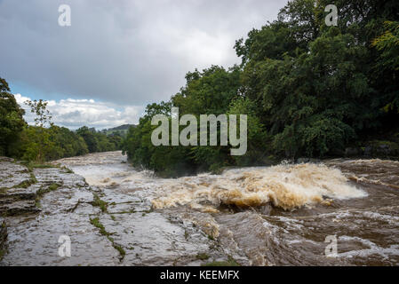 La section inférieure du aysgarth Falls, North Yorkshire après de très fortes précipitations. Banque D'Images