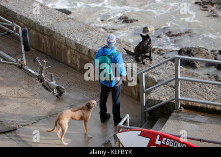 Newquay, Cornwall, Royaume-Uni. 21 octobre 2017. Météo Royaume-Uni. Storm Brian produit des vagues de 22 pieds au large de la côte nord de Cornwall. Un homme et ses chiens regardent les vagues. Crédit : Nicholas Burningham/Alay Live News Banque D'Images