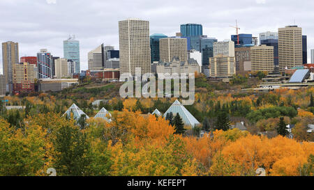 Le centre-ville d'Edmonton, Canada avec aspen colorés en premier plan Banque D'Images