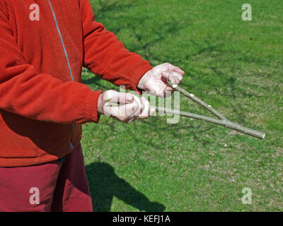 Mains tenant divining rod recherche, Close up Banque D'Images