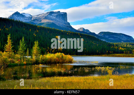 Une image de paysage automnal de la montagne Roche Miette avec un feuillage d'automne aux couleurs vives dans le parc national Jasper, Alberta, Canada. Banque D'Images