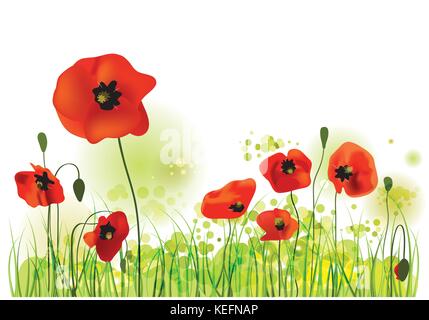 Champ de coquelicots rouges d'été, paysage, vector illustration Illustration de Vecteur