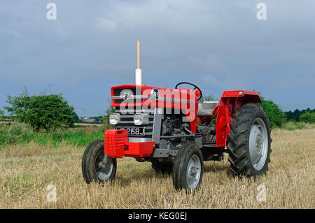 Tracteur Massey Ferguson MF 165 Banque D'Images