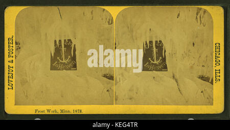 Cette image de 1873 représente le givre dans le Minnesota, créé par Lovejoy & Foster, capturant les motifs complexes formés par le gel sur les surfaces pendant l'hiver. Banque D'Images