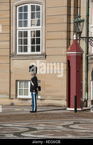 La garde royale de service au palais, le Palais d'Amalienborg, Copenhague, Danemark Banque D'Images