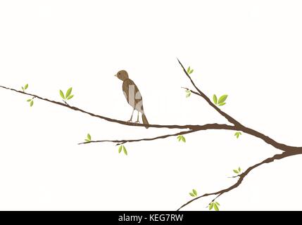 Oiseau posé sur une branche avec des feuilles vertes Illustration de Vecteur