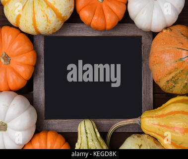 Vue aérienne d'un groupe de variétés de citrouilles, courges d'automne et des courges entourant un tableau vide. Banque D'Images