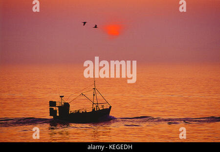 Petit bateau de pêche commercial vers la mer au lever du soleil. Channel Islands. Guernesey. Banque D'Images