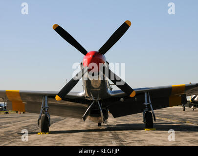 Légendaire chasseur Mustang vue avant Banque D'Images