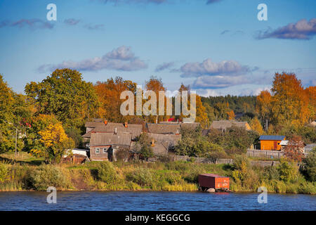 Photo de forêt par Rivière en automne Banque D'Images