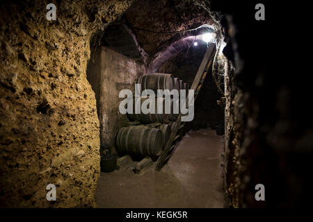 Fûts de vin de Rioja en chêne américain venant à maturité à la cave Carlos San Pedro Bodega dans la cave souterraine de Laguardia, Espagne Banque D'Images