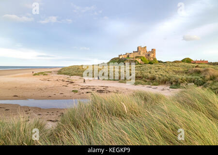 Lumière du soir au château de Bamburgh, Bamburgh, Northumberland, England, UK Banque D'Images