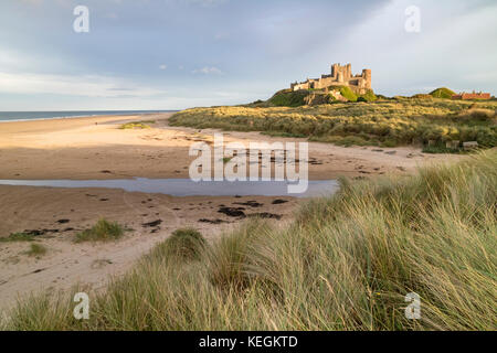 Lumière du soir au château de Bamburgh, Bamburgh, Northumberland, England, UK Banque D'Images